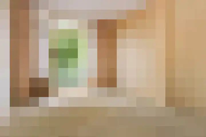 Laan van Eik en Duinen 143 Den Haag thumbnail 32