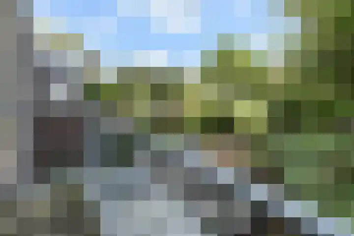 Laan van Eik en Duinen 143 Den Haag thumbnail 33