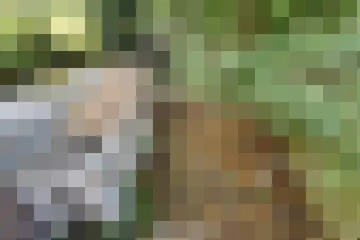 Laan van Eik en Duinen 143 Den Haag thumbnail 34