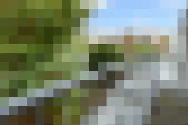 Laan van Eik en Duinen 143 Den Haag thumbnail 35