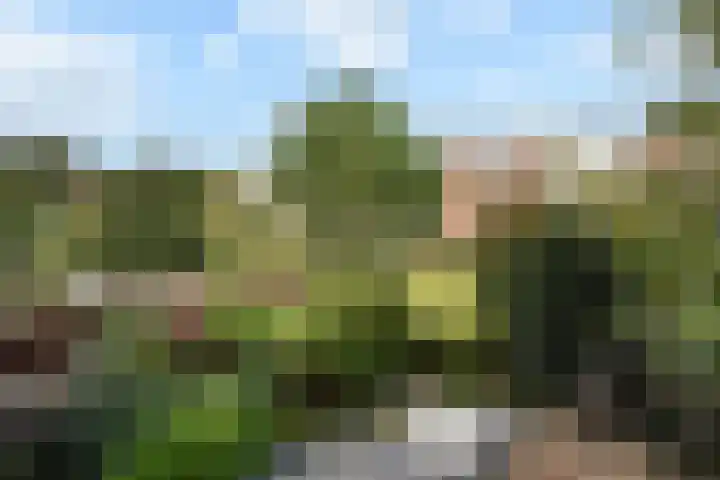 Laan van Eik en Duinen 143 Den Haag thumbnail 36