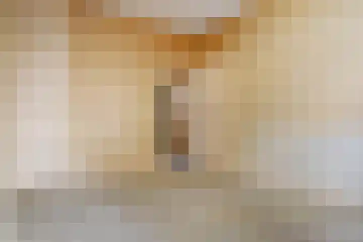Laan van Eik en Duinen 143 Den Haag thumbnail 37