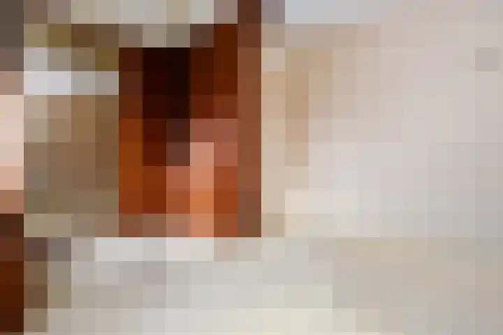 Laan van Eik en Duinen 143 Den Haag thumbnail 45