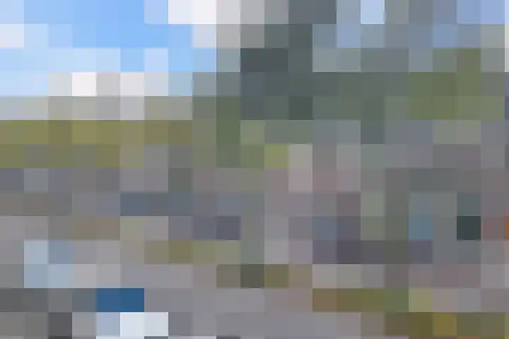 Laan van Eik en Duinen 143 Den Haag thumbnail 46