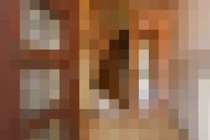 Laan van Eik en Duinen 143 Den Haag thumbnail 6
