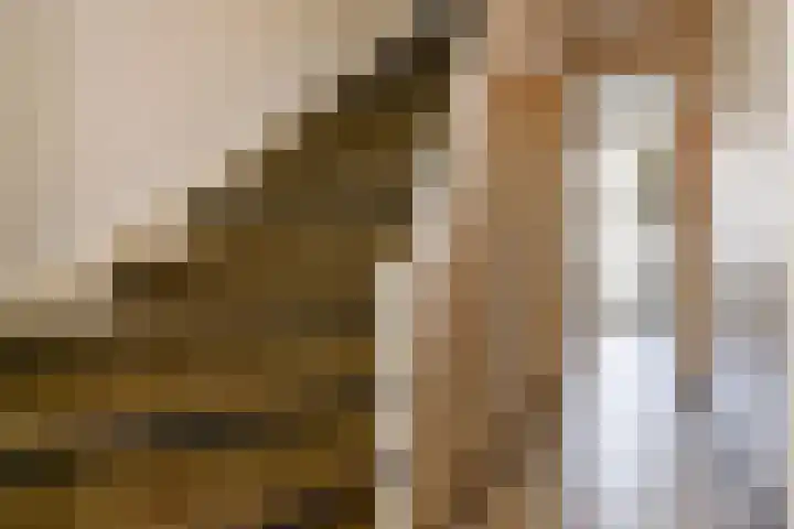 Laan van Eik en Duinen 143 Den Haag thumbnail 8