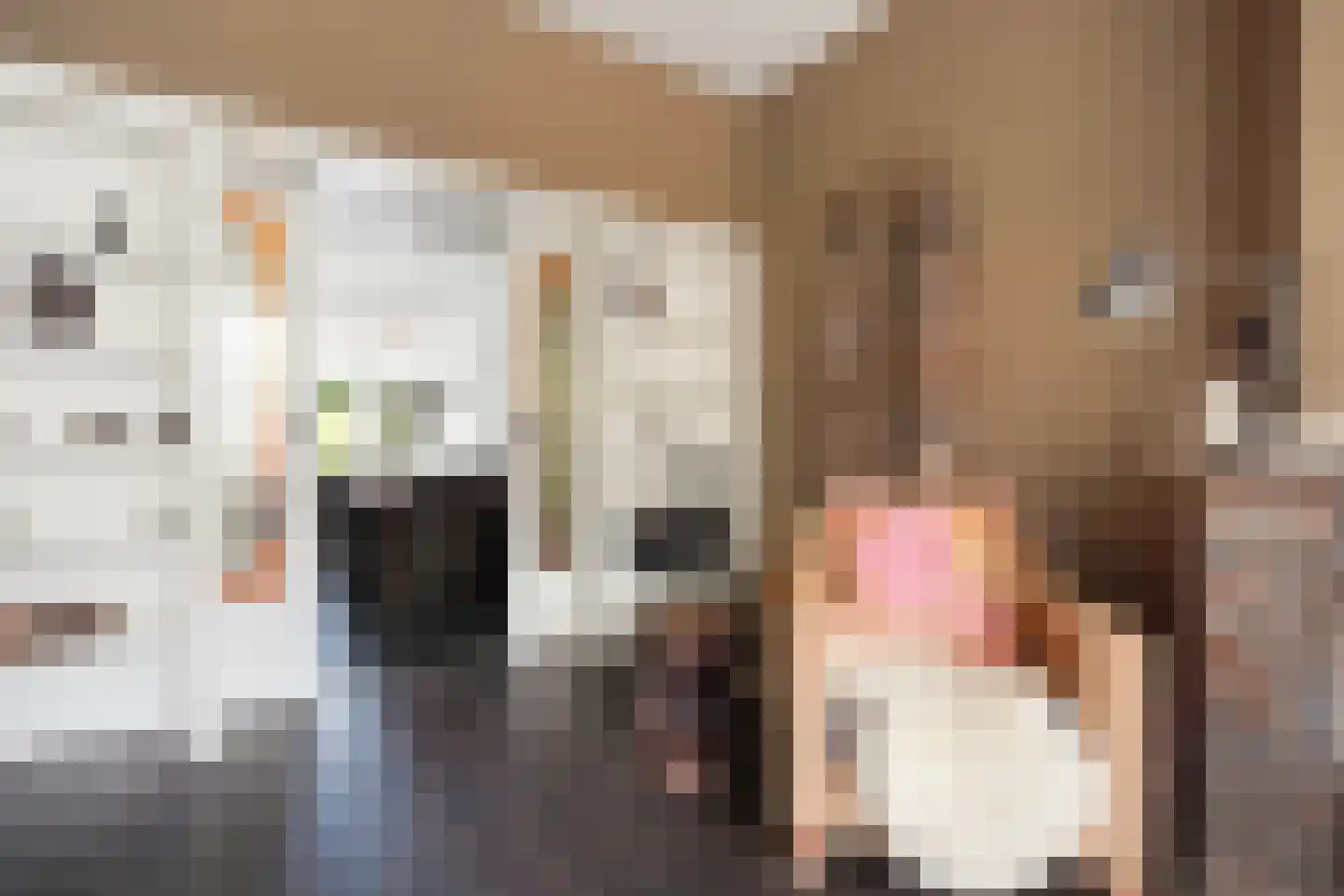 Laan van Eik en Duinen 154 Den Haag thumbnail 11