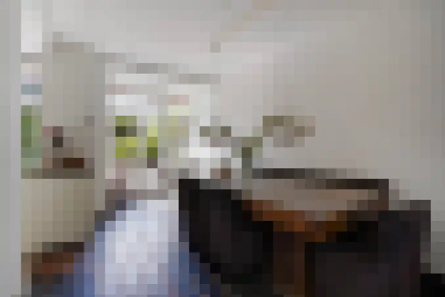 Laan van Eik en Duinen 154 Den Haag thumbnail 12