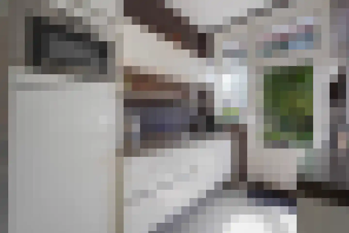 Laan van Eik en Duinen 154 Den Haag thumbnail 15