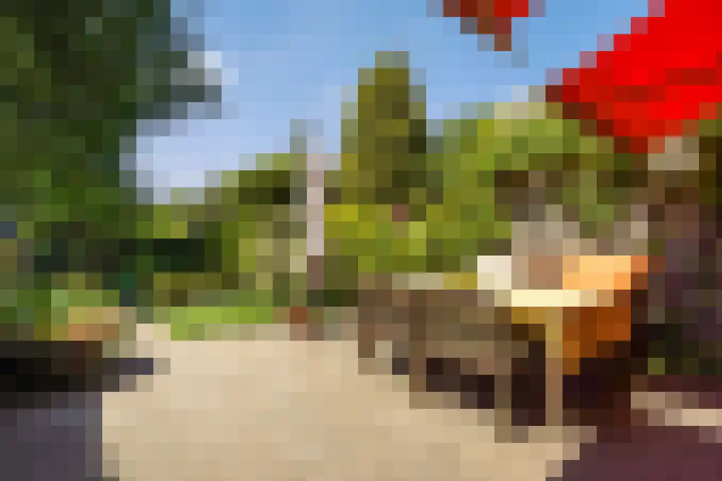 Laan van Eik en Duinen 154 Den Haag thumbnail 17