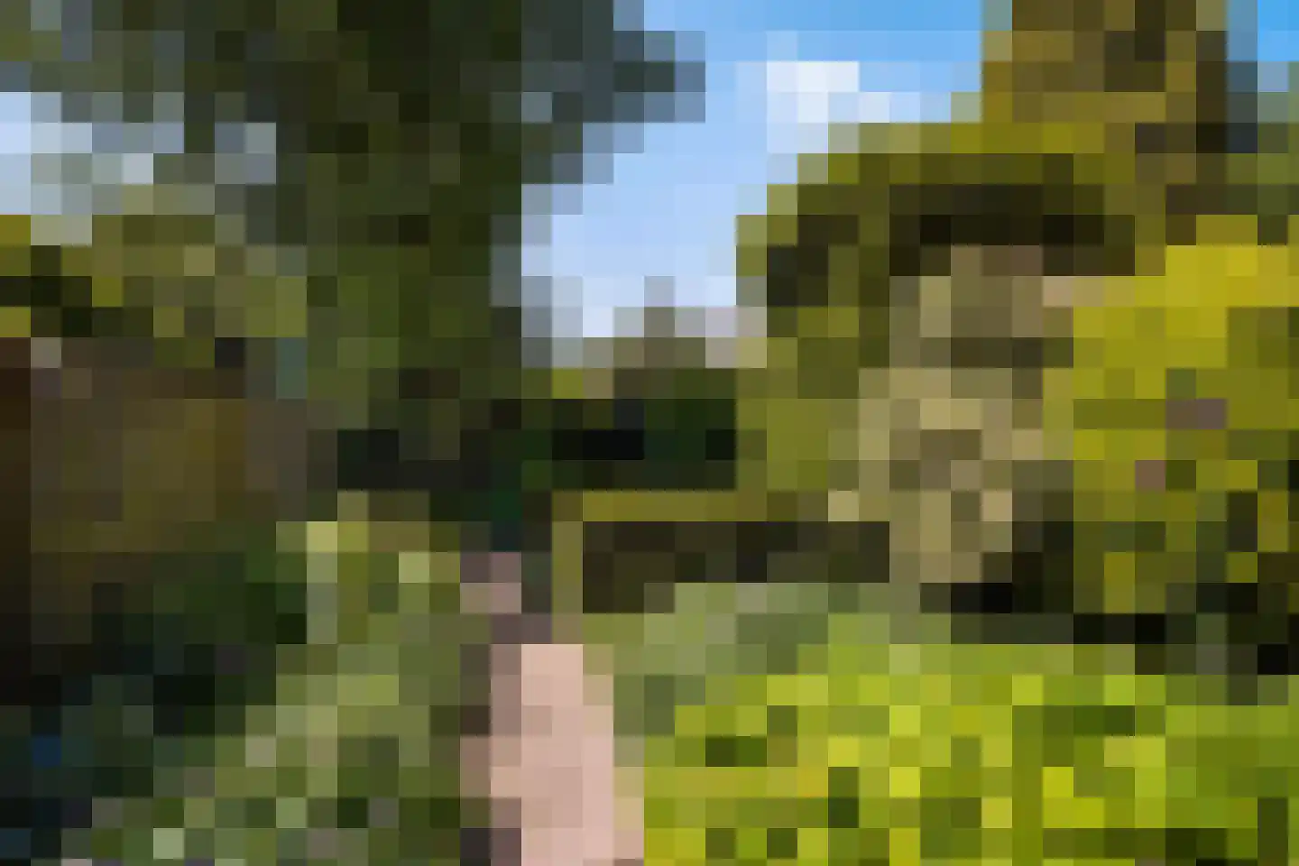 Laan van Eik en Duinen 154 Den Haag thumbnail 18