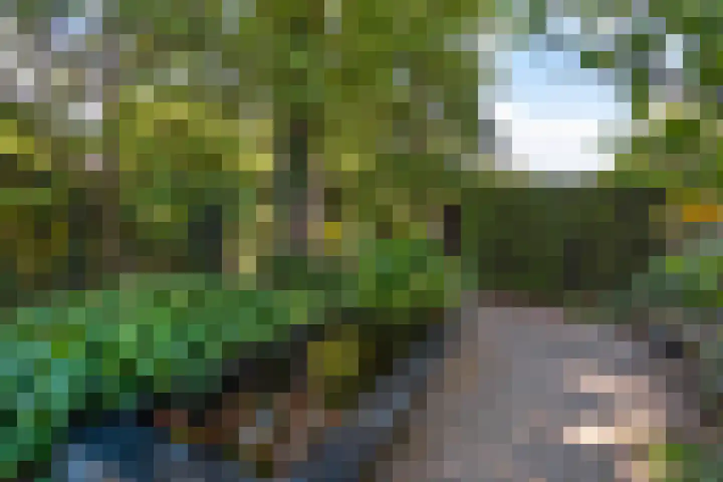 Laan van Eik en Duinen 154 Den Haag thumbnail 20