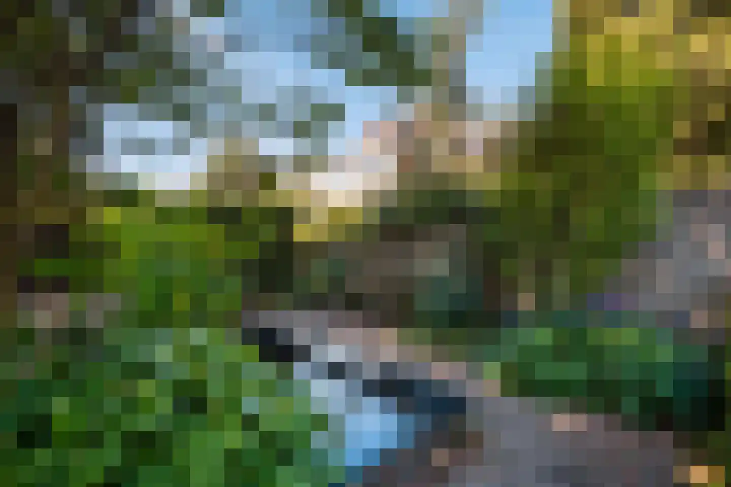 Laan van Eik en Duinen 154 Den Haag thumbnail 21