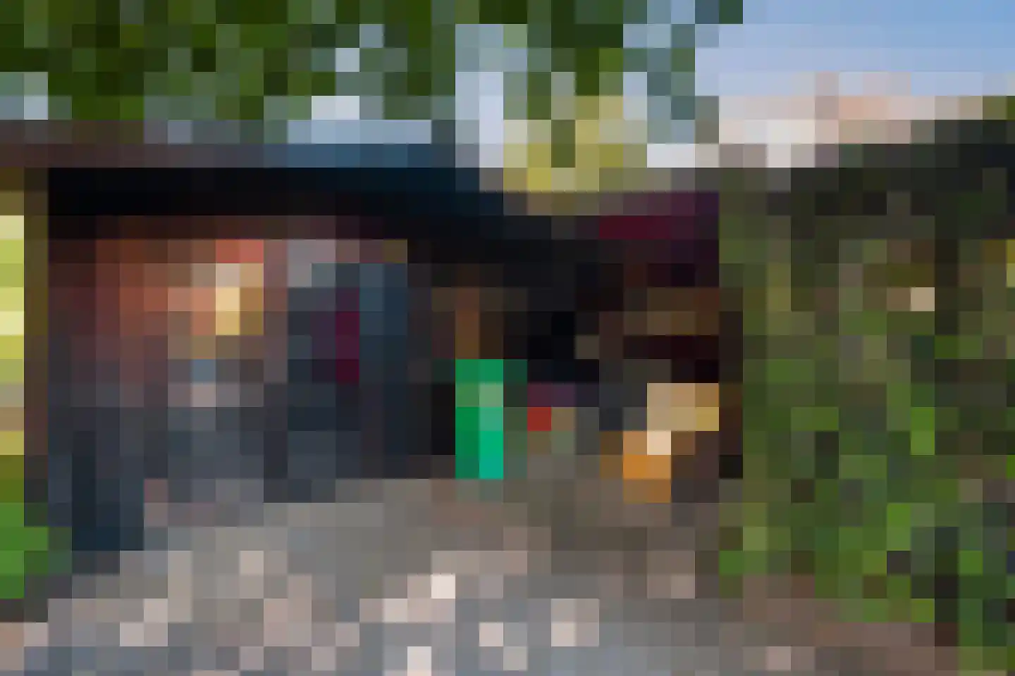 Laan van Eik en Duinen 154 Den Haag thumbnail 22