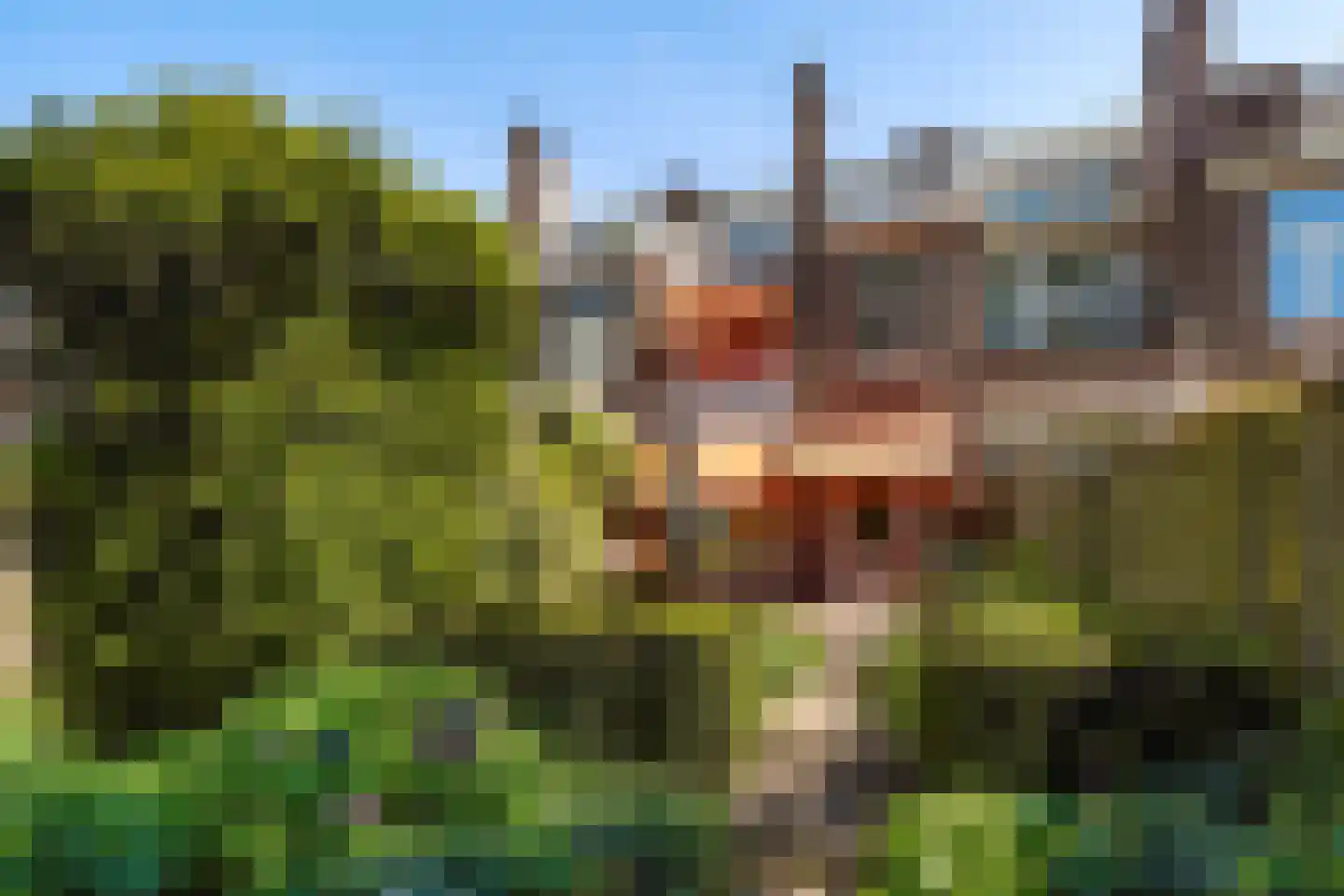 Laan van Eik en Duinen 154 Den Haag thumbnail 23
