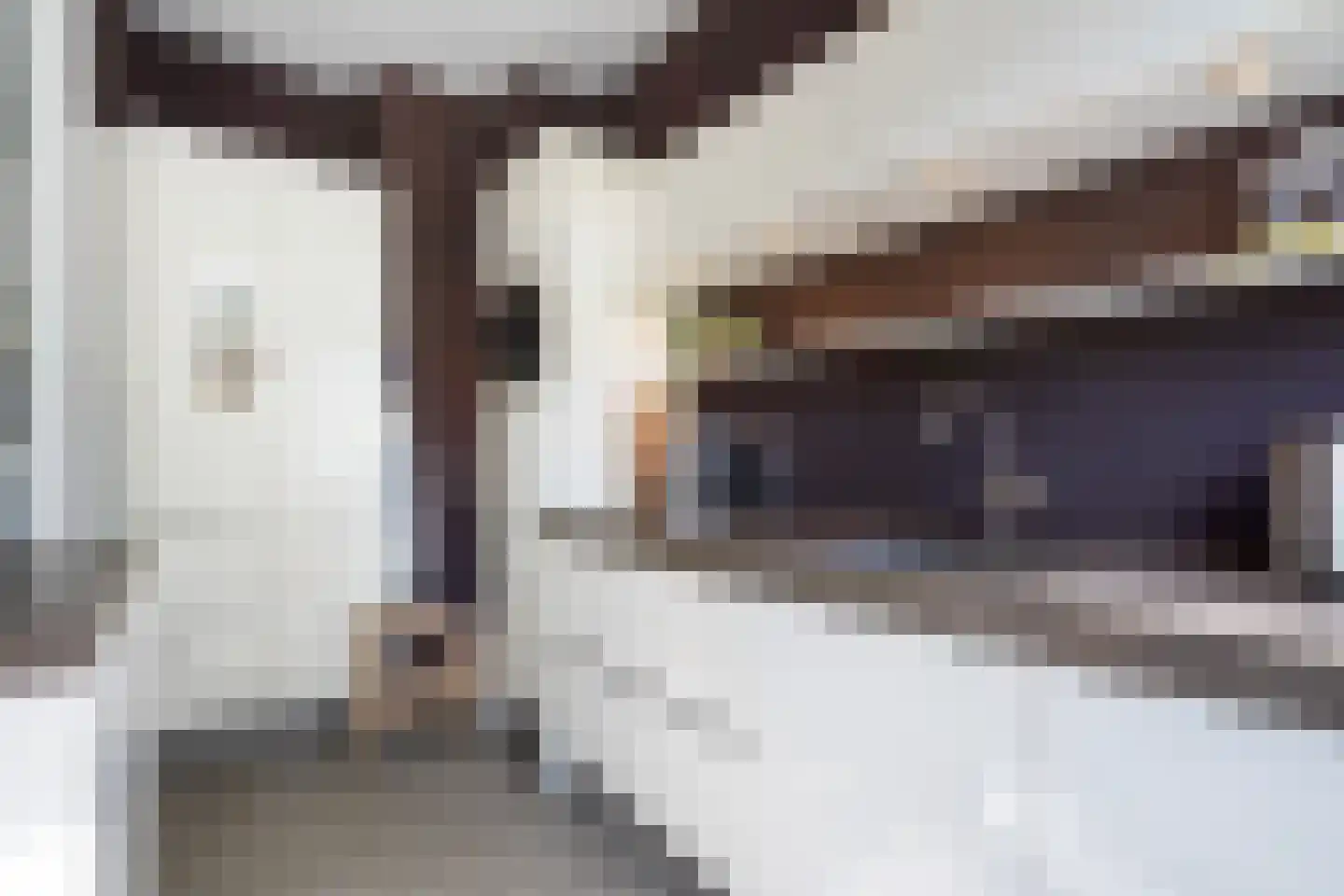 Laan van Eik en Duinen 154 Den Haag thumbnail 26