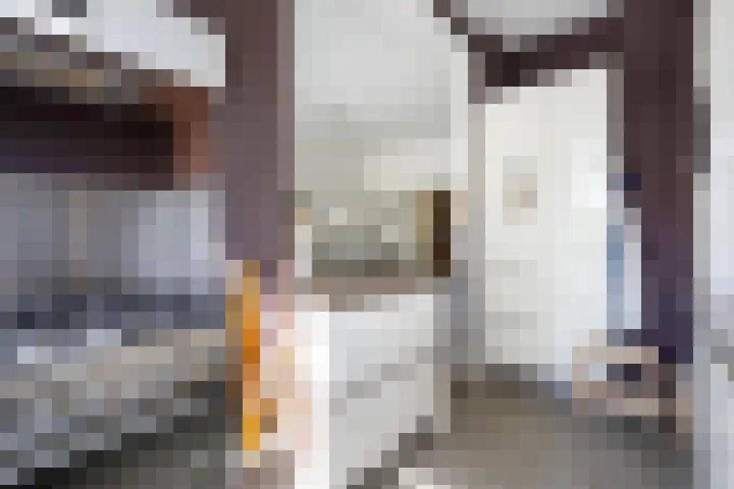 Laan van Eik en Duinen 154 Den Haag thumbnail 27