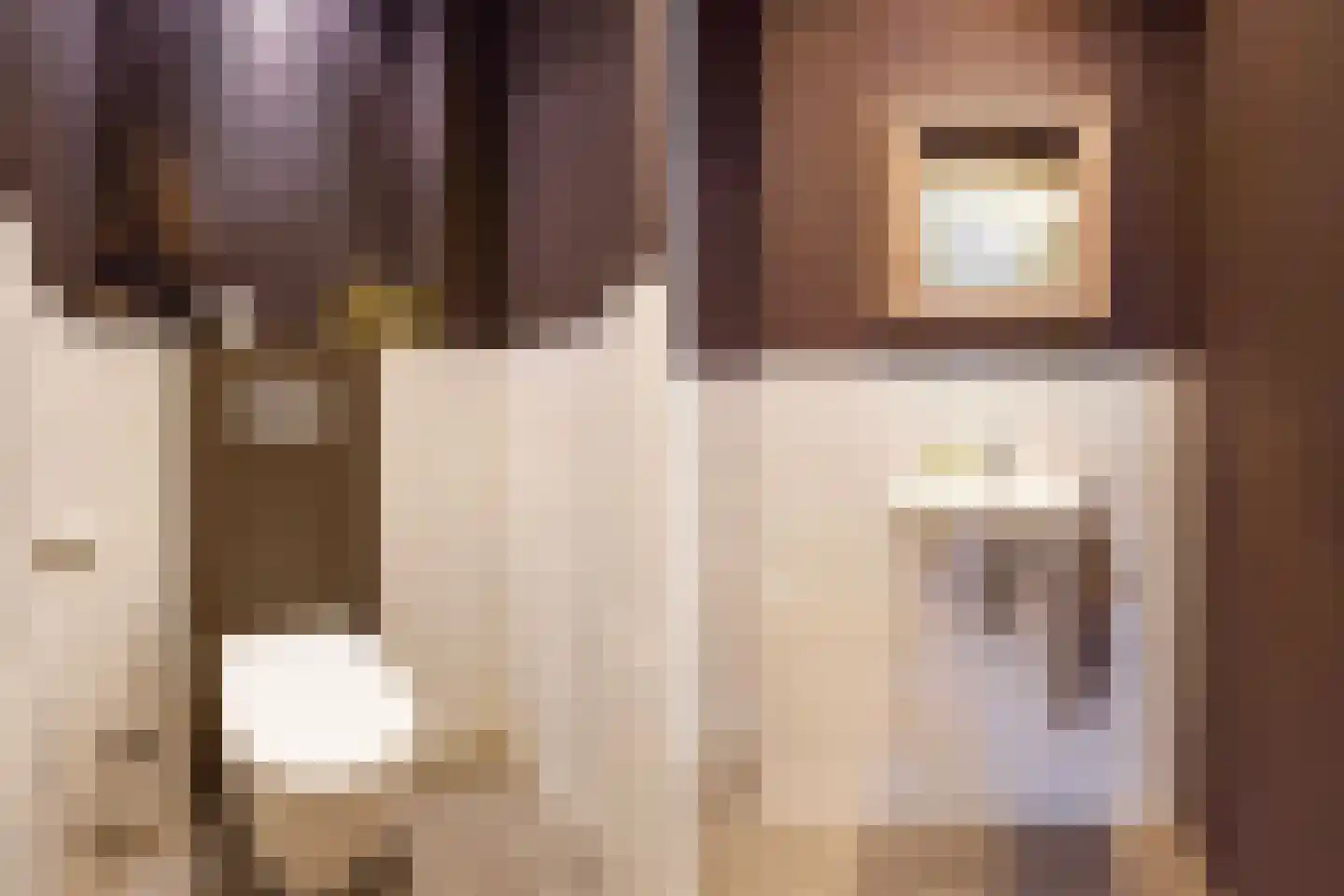 Laan van Eik en Duinen 154 Den Haag thumbnail 31