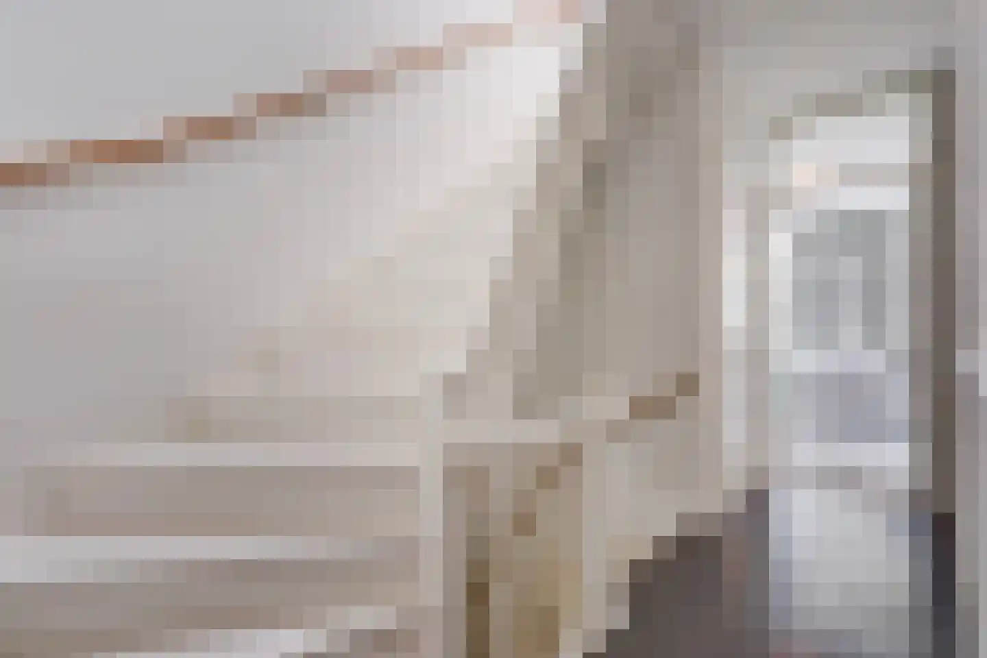 Laan van Eik en Duinen 154 Den Haag thumbnail 33