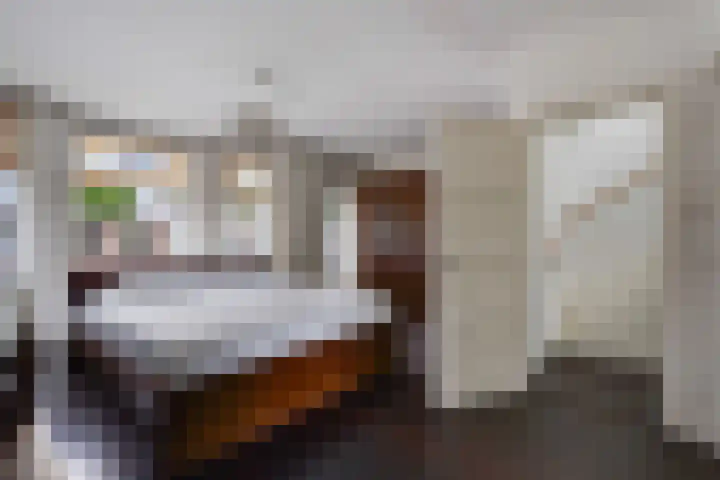 Laan van Eik en Duinen 154 Den Haag thumbnail 36