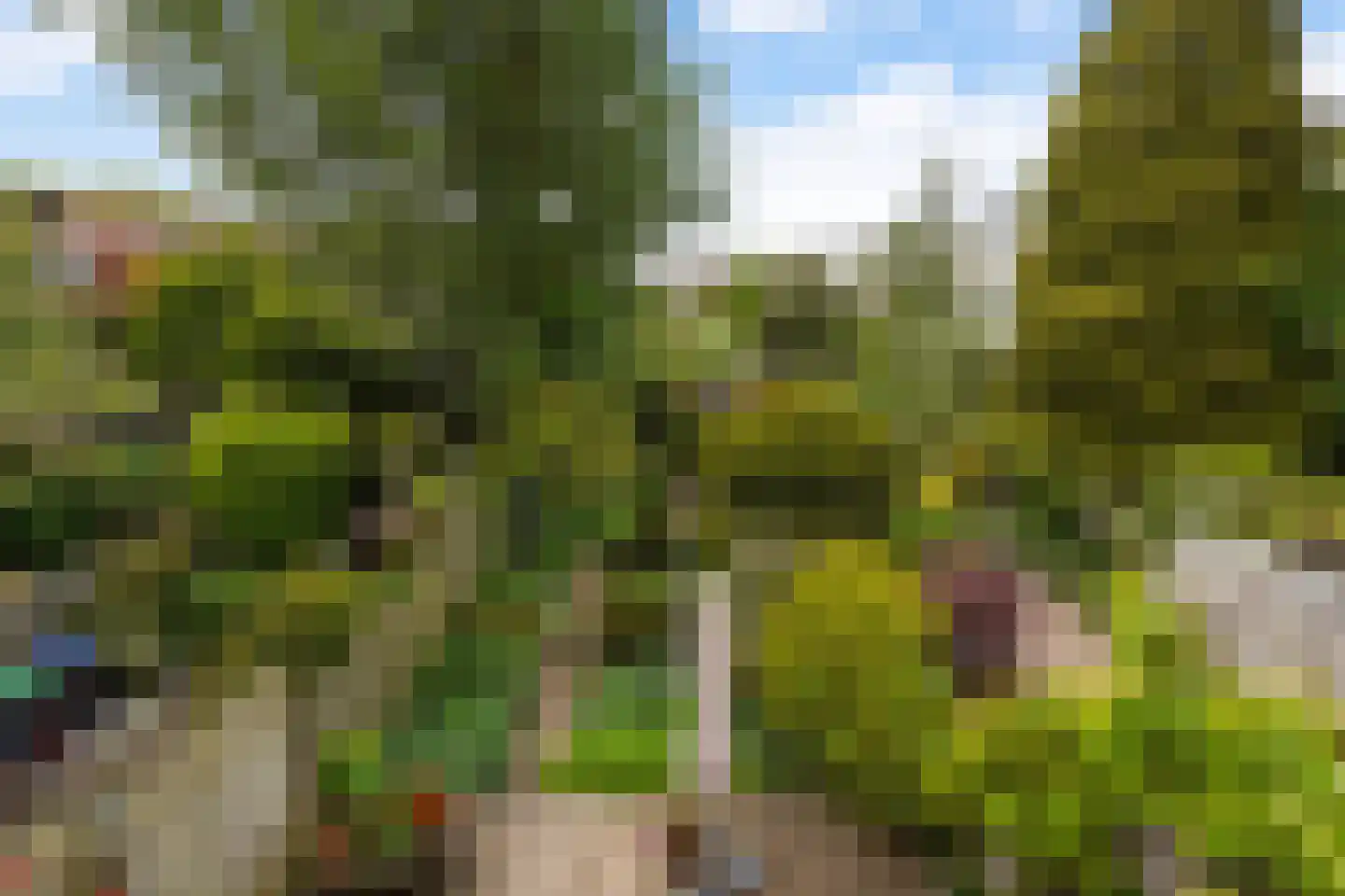 Laan van Eik en Duinen 154 Den Haag thumbnail 43