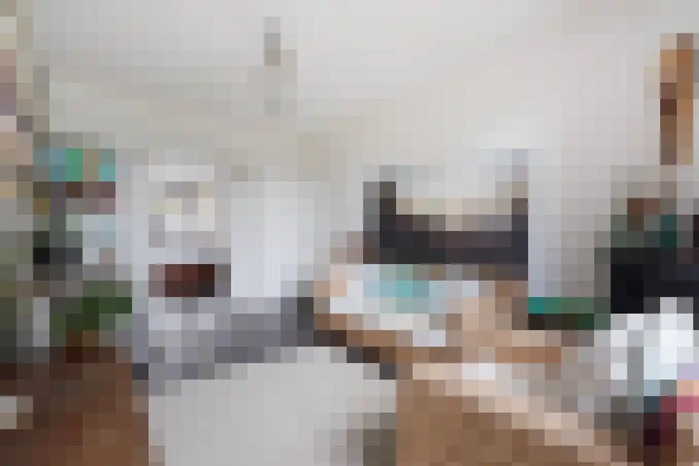 Laan van Eik en Duinen 154 Den Haag thumbnail 44
