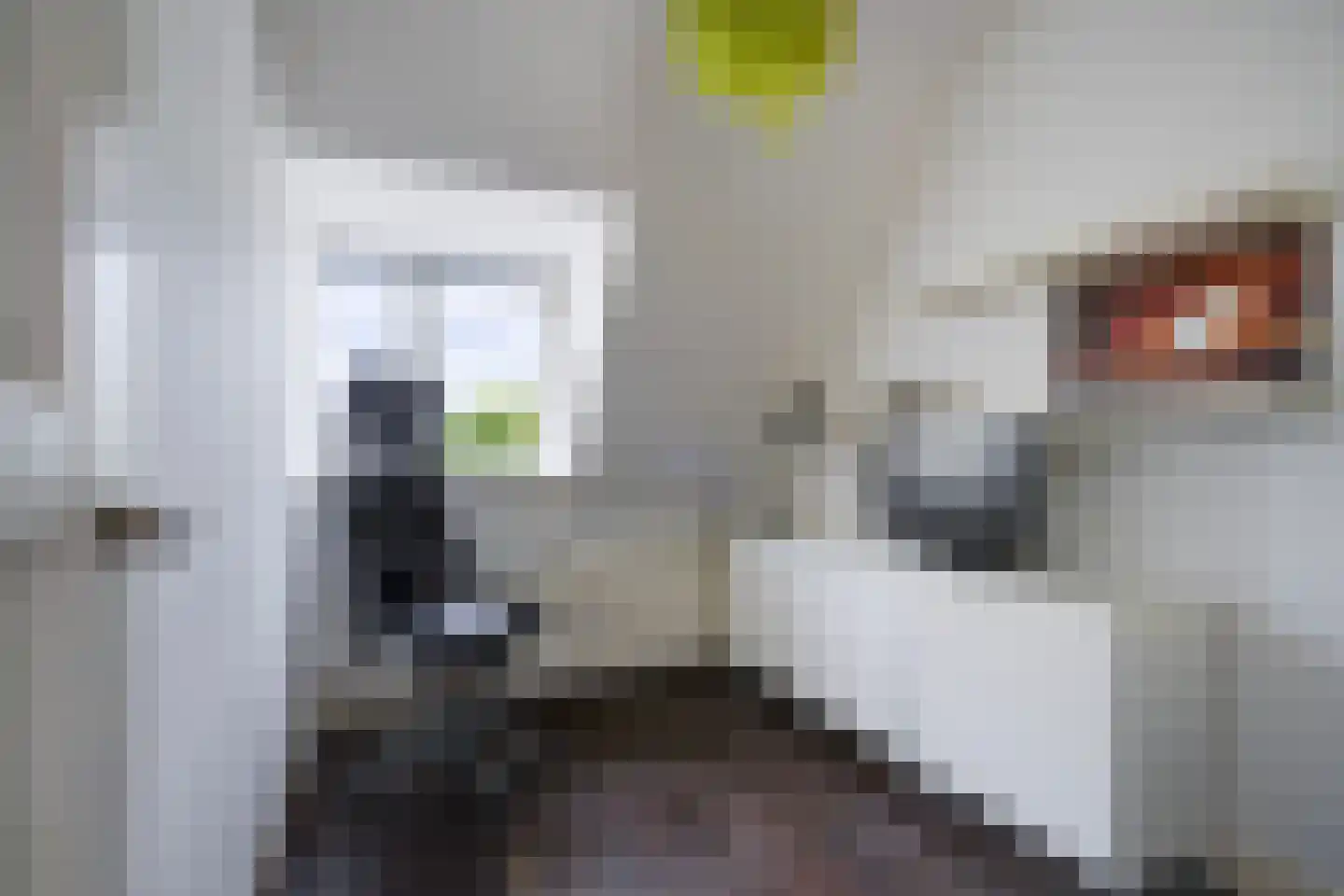 Laan van Eik en Duinen 154 Den Haag thumbnail 55