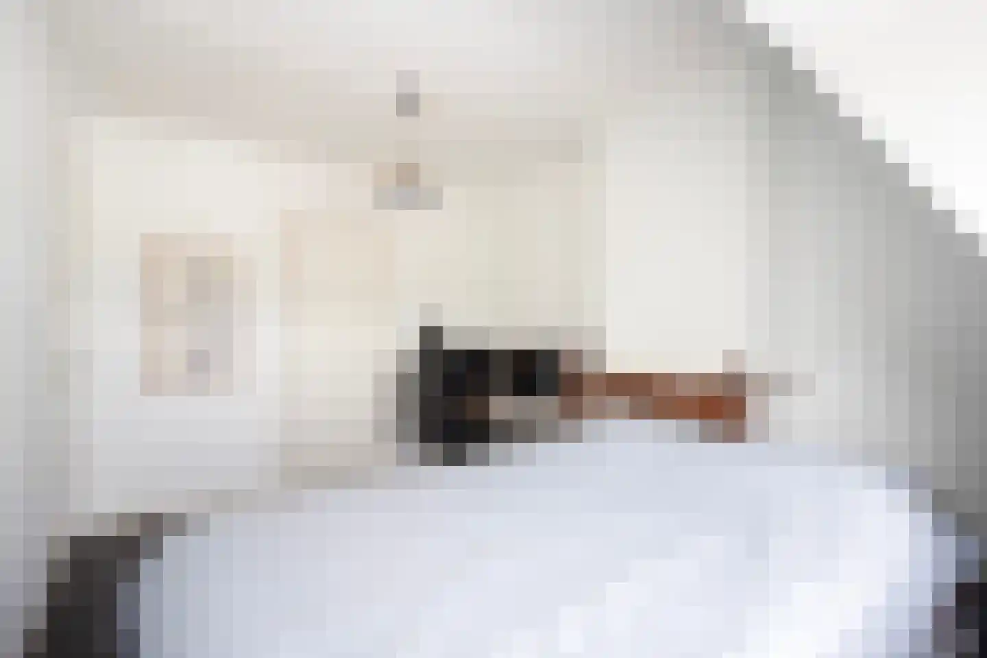 Laan van Eik en Duinen 154 Den Haag thumbnail 59