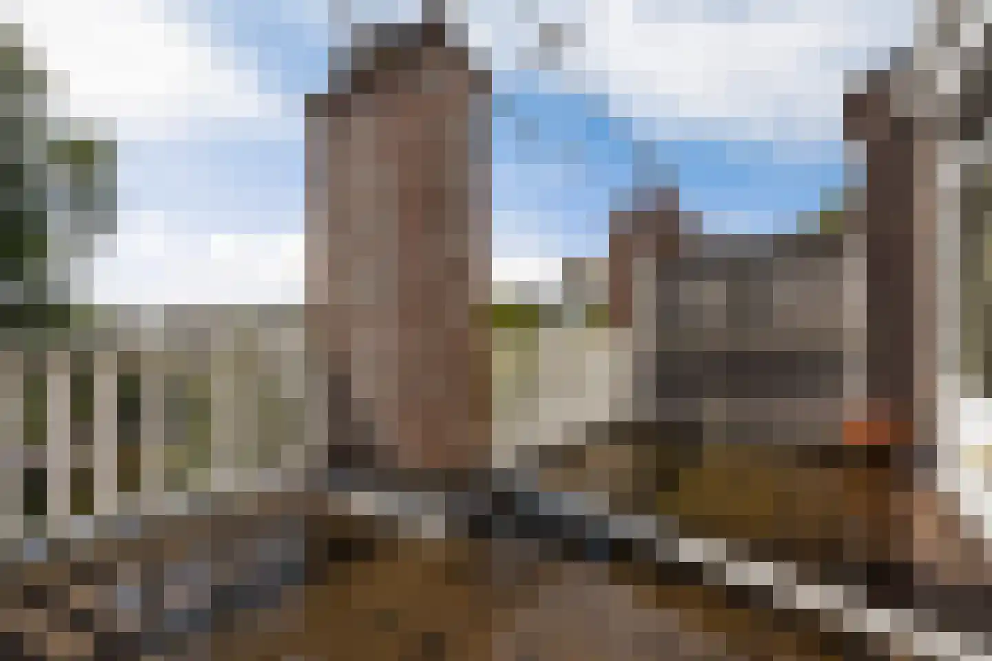 Laan van Eik en Duinen 154 Den Haag thumbnail 60