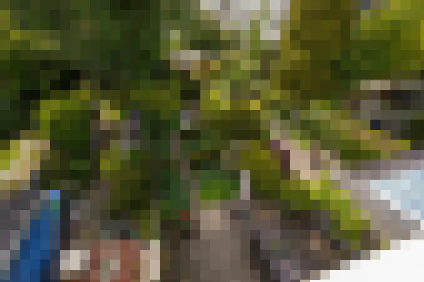 Laan van Eik en Duinen 154 Den Haag thumbnail 61