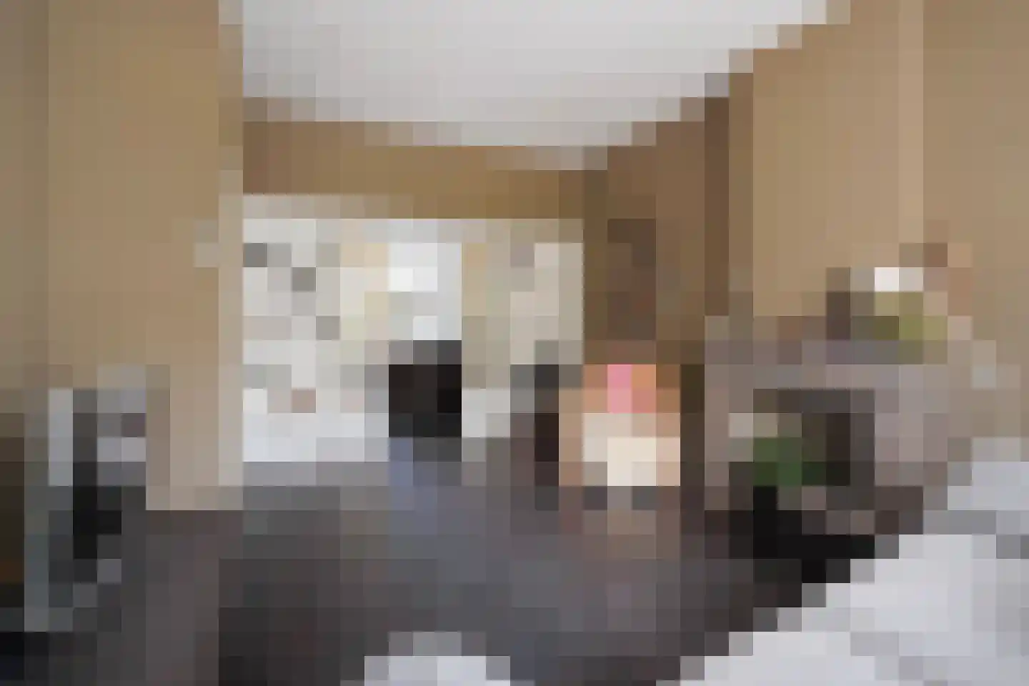 Laan van Eik en Duinen 154 Den Haag thumbnail 9