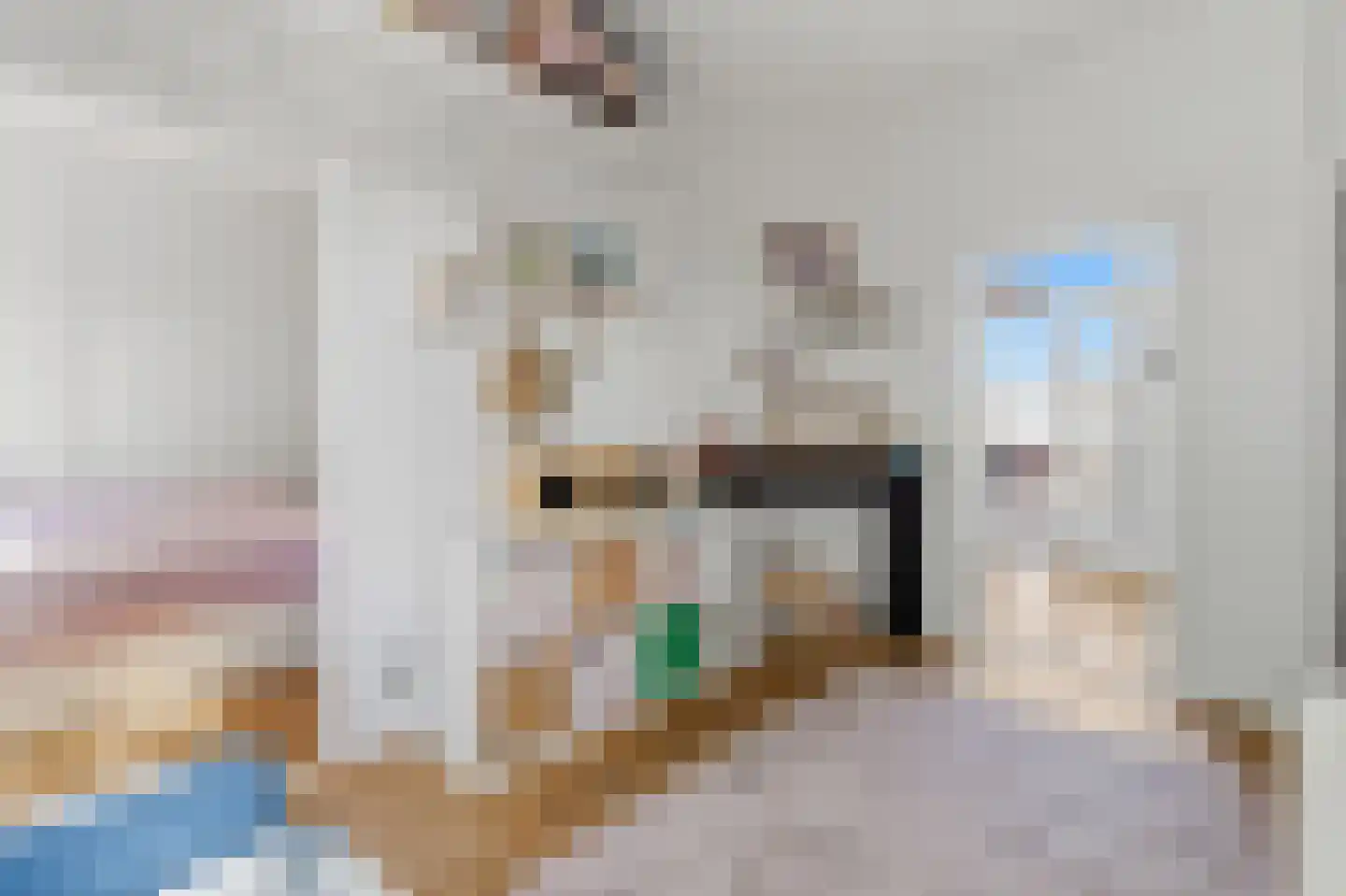 Laan van Eik en Duinen 177 Den Haag thumbnail 18