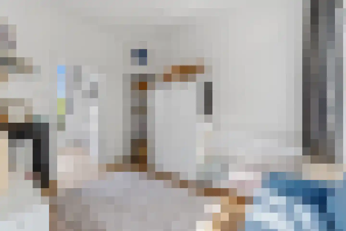 Laan van Eik en Duinen 177 Den Haag thumbnail 19