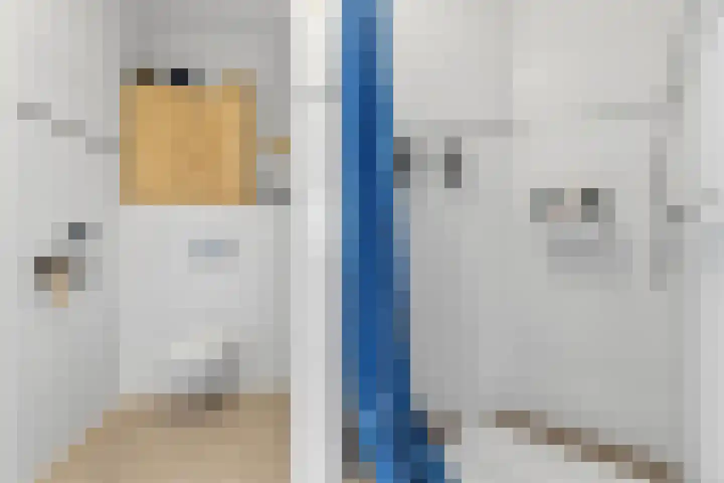 Laan van Eik en Duinen 177 Den Haag thumbnail 29