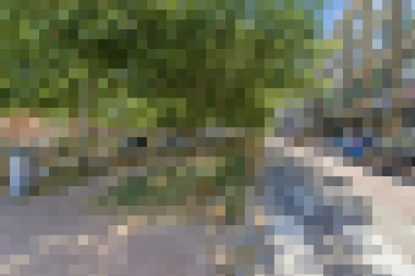 Laan van Eik en Duinen 177 Den Haag thumbnail 36