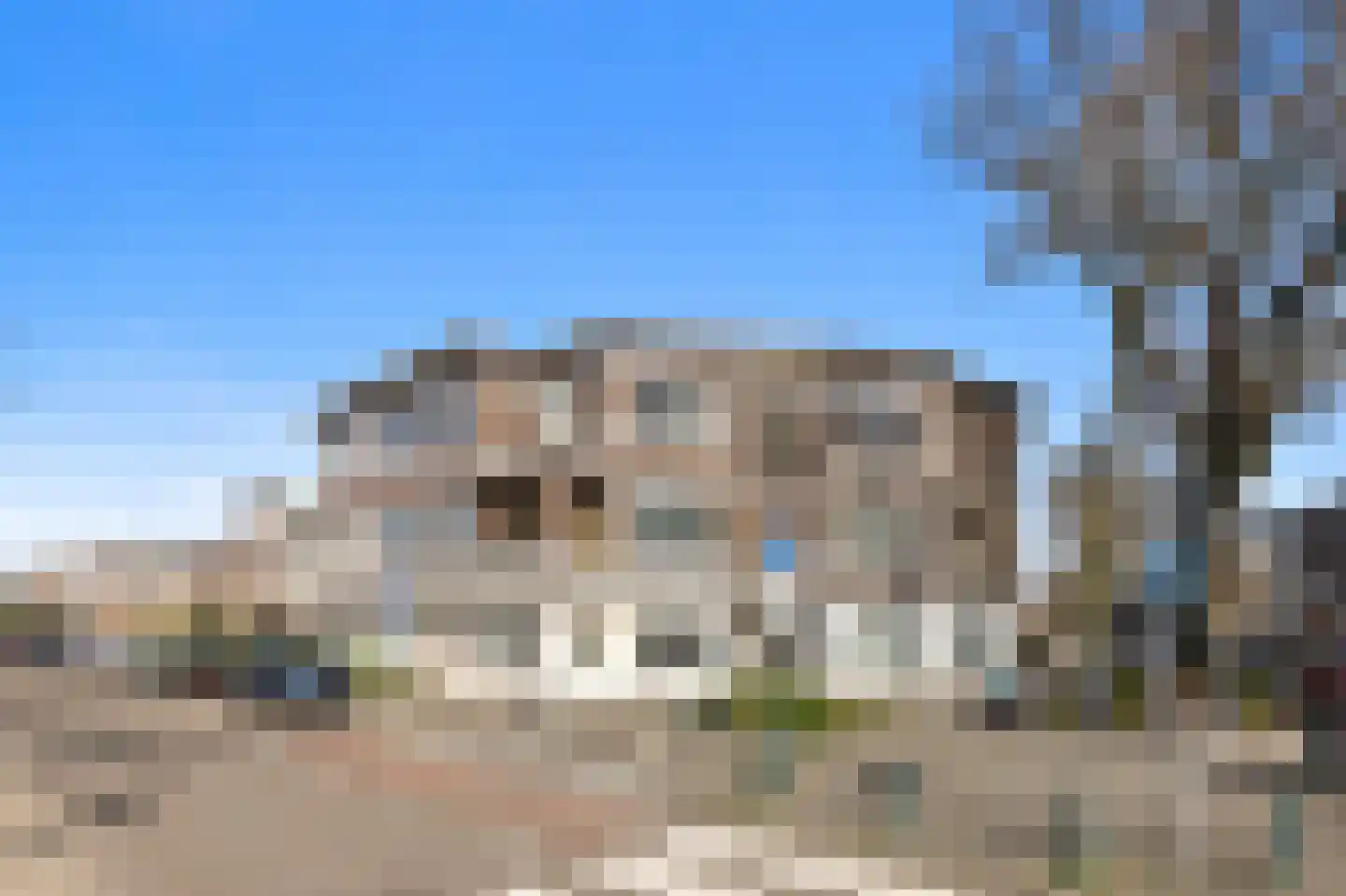 Laan van Eik en Duinen 177 Den Haag thumbnail 4
