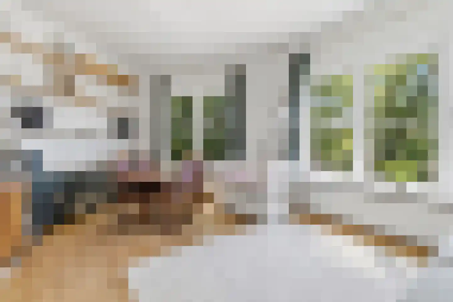 Laan van Eik en Duinen 177 Den Haag thumbnail 9