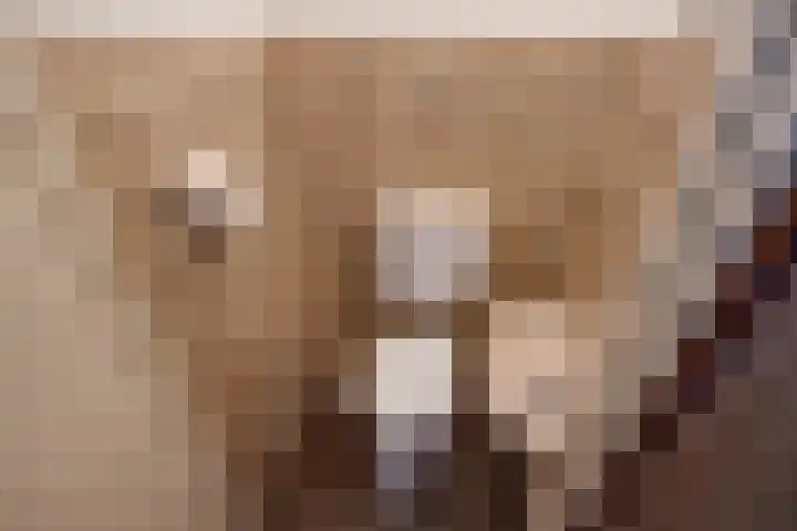 Laan van Eik en Duinen 183 Den Haag thumbnail 12
