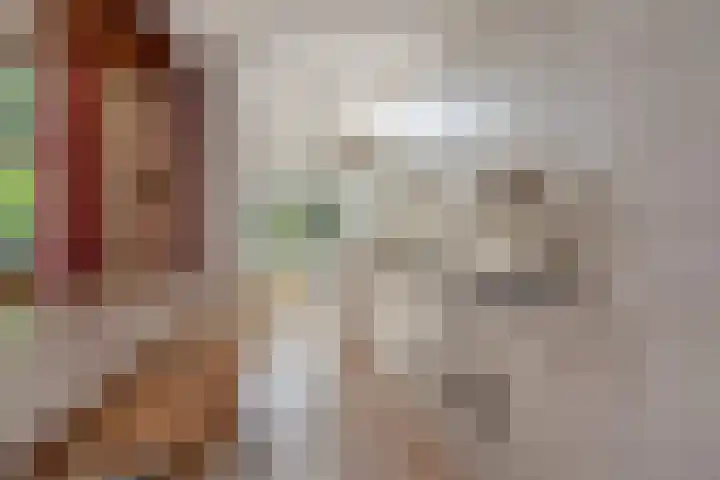Laan van Eik en Duinen 183 Den Haag thumbnail 13