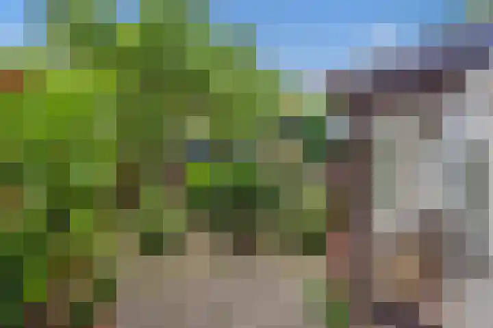 Laan van Eik en Duinen 183 Den Haag thumbnail 15
