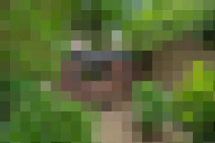 Laan van Eik en Duinen 183 Den Haag thumbnail 16