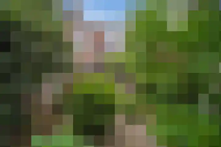 Laan van Eik en Duinen 183 Den Haag thumbnail 17