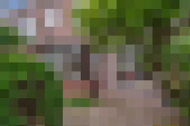 Laan van Eik en Duinen 183 Den Haag thumbnail 18