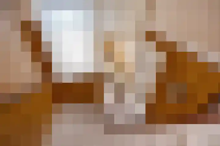 Laan van Eik en Duinen 183 Den Haag thumbnail 21