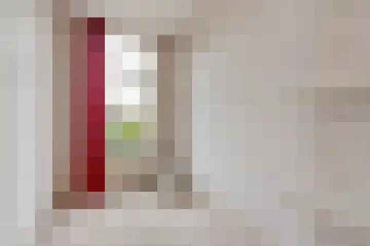 Laan van Eik en Duinen 183 Den Haag thumbnail 23