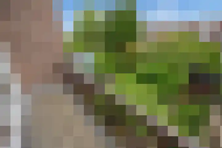 Laan van Eik en Duinen 183 Den Haag thumbnail 25