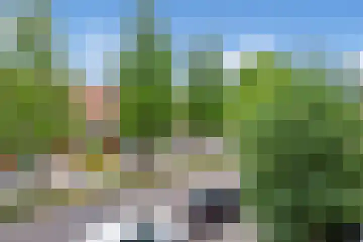 Laan van Eik en Duinen 183 Den Haag thumbnail 31