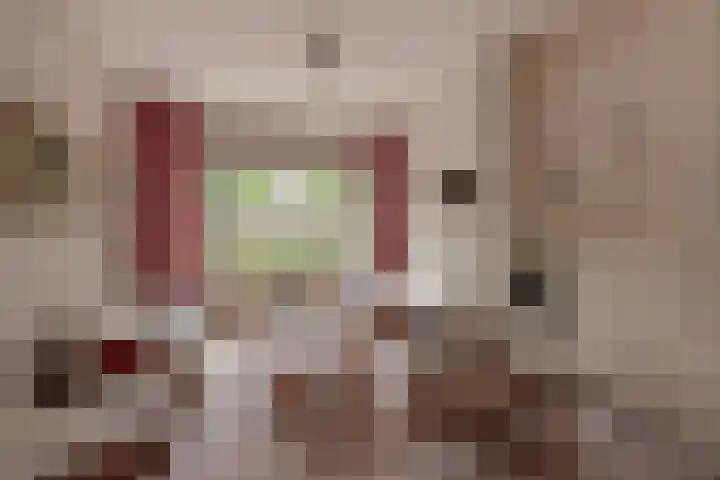 Laan van Eik en Duinen 183 Den Haag thumbnail 5