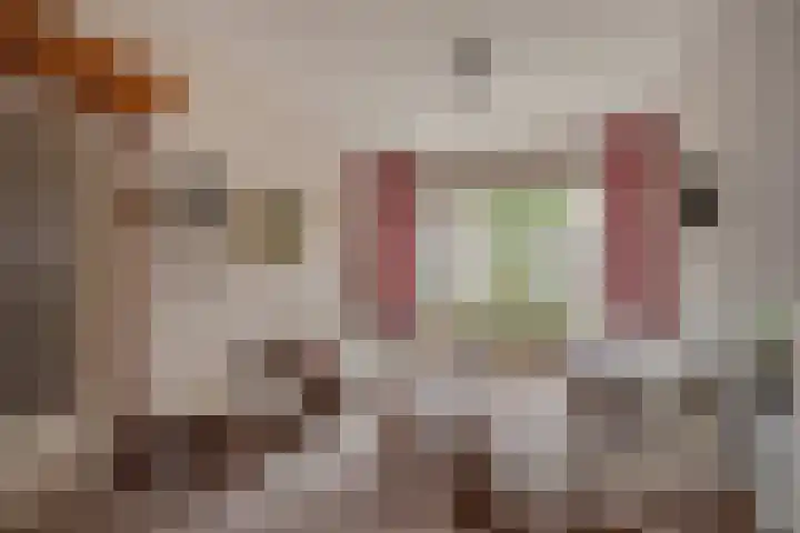 Laan van Eik en Duinen 183 Den Haag thumbnail 6