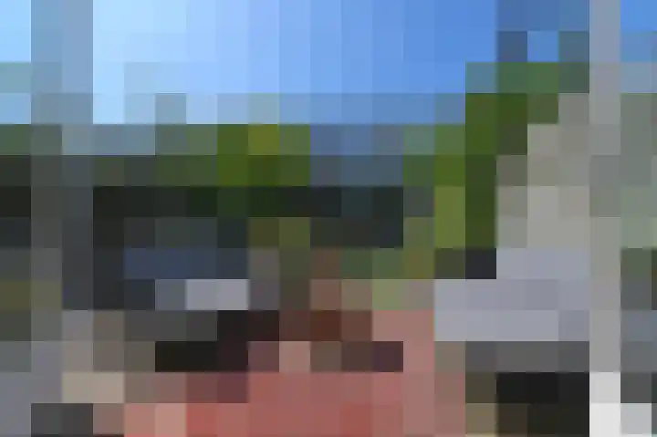 Laan van Eik en Duinen 184 Den Haag thumbnail 13
